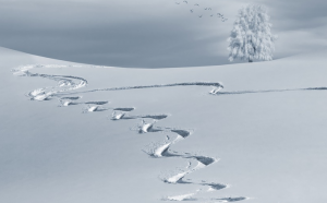 snow