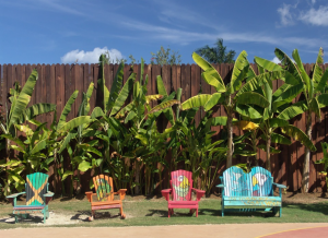 jamaica